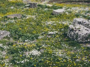 Shoshone County, Idaho Faces Extended Vacancy in Public Works Director Position